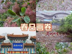 -府君山公园