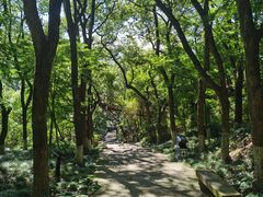 -宁波市保国寺古建筑博物馆