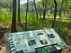 -梁鸿国家湿地公园