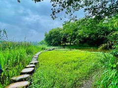 -中国茶叶博物馆(双峰馆区)