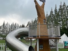 -前小桔亲子创意农场·草莓采摘·露营烧烤