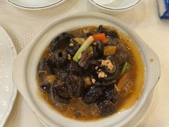 红焖海参煲-深运潮州粥(水库店)