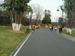 -东湖落雁景区
