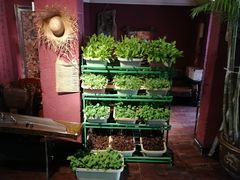 -大匠工房古船木艺术餐厅·猪肚鸡专门店(长白仙岛店)