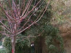 -西安曲江寒窑遗址公园
