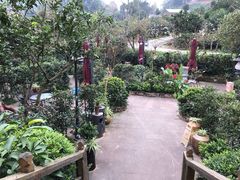 -楠柏弯休闲山庄(梨花溪店)