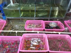 水产区-田源农家饭店·窑鸡王·海鲜(东部湾·融创店)