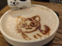 -吉丁鸟咖·异宠·寄养