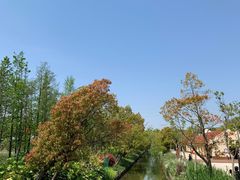 -上海长兴岛郊野公园