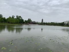 -西海子公园