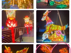 -大连老虎滩海洋公园