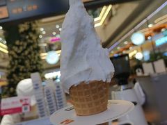 -野人先生Gelato(上海长宁龙之梦店)