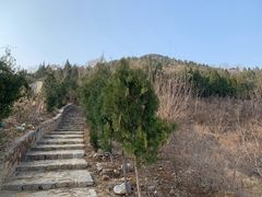 -解放济南战役茂岭山战场遗址