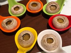 -黑松白鹿(崇文门新活馆店)