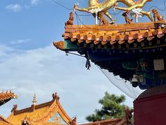 -大召无量寺