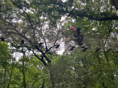 -WeLope紫金山探险公园
