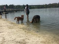 -美兰湖景区