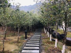 -乳源丽宫国际温泉酒店