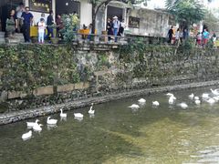 -绩溪龙川景区