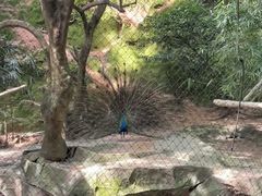 -青青世界