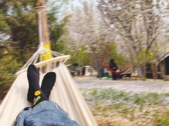 -永定河休闲森林公园