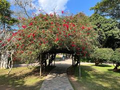 -中国科学院西双版纳热带植物园