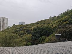 -鲤鱼塘农家山庄