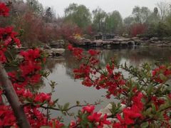 -石家庄市植物园