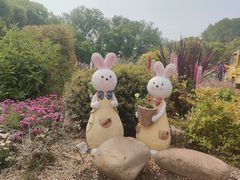 -上海共青森林公园