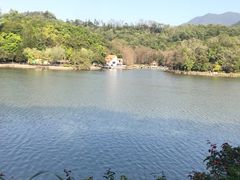 -深圳仙湖植物园