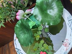 -春田小幸铁板烧(忠义街店)