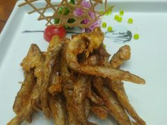 初恋小刀鱼-赵小姐丨新中餐(曲江店)