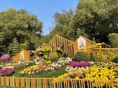 -上海共青森林公园