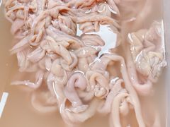 -小龙坎老火锅(北京三里屯店)