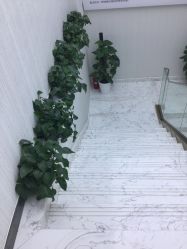 -悟空祛痘·诺奖技术专业店