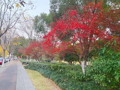 -杭州城北体育公园