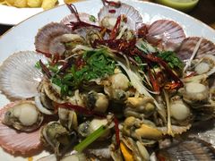 扇贝-船歌·鱼水饺青岛菜(金狮广场店)