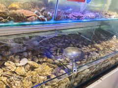 -四海蒸鲜蒸汽海鲜自助(北戴河店)