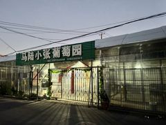 -马陆小张葡萄园农家乐