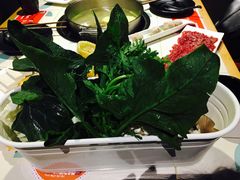-南城十里潮汕鲜牛火锅·鲜虾生滚粥(融汇老商埠店)