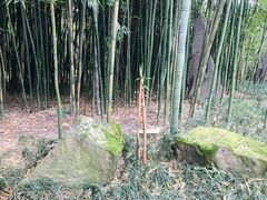 -望江楼公园