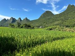 -万峰林风景区