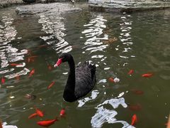 -南宫五洲植物乐园