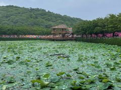 -李小龙乐园(顺德均安店)