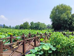 -白塔湖国家湿地公园