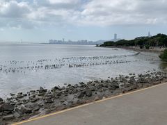 -深圳湾公园(南山区)