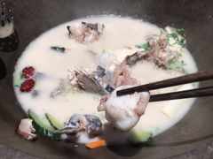 -鲜潭蒸汽石锅鱼(五道口购物中心店)