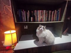-城墙外BAR
