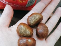 -阿男野栗王(金门路店)