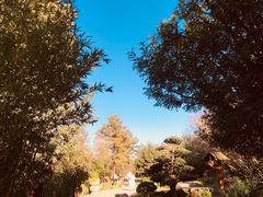 -七彩云南古滇温泉山庄